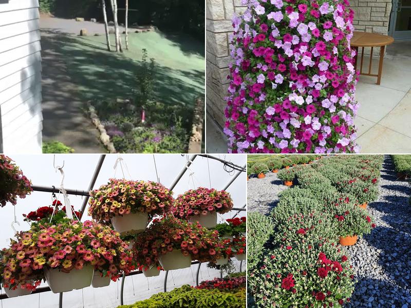 Jim Girard Landscape Maintenance