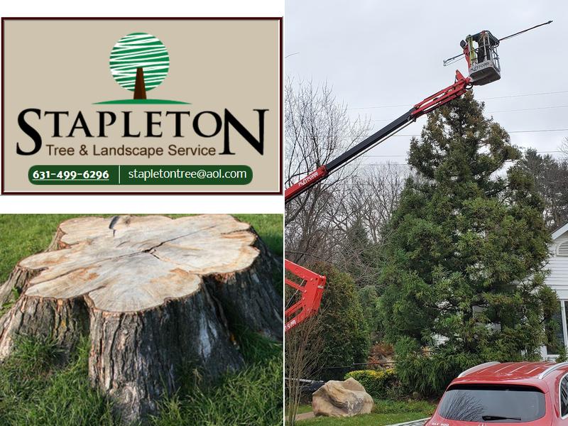 Stapleton Tree & Landscape Svc