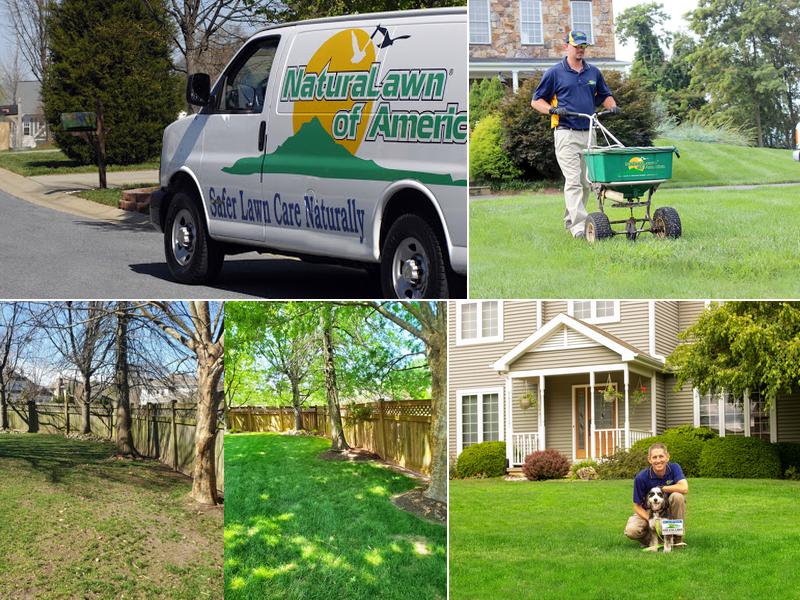 NaturaLawn of America