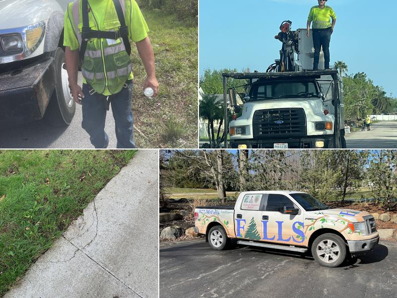 Mr. Falls Tree Experts