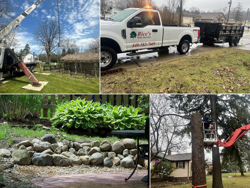 Rice's Tree Service & Landscaping