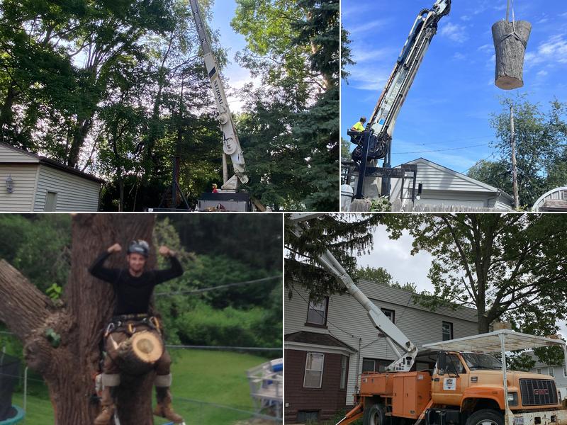 A&S TREE SERVICE,LLC