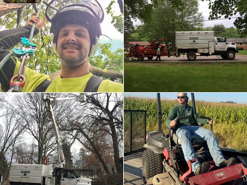 Haymaker Tree and Lawn