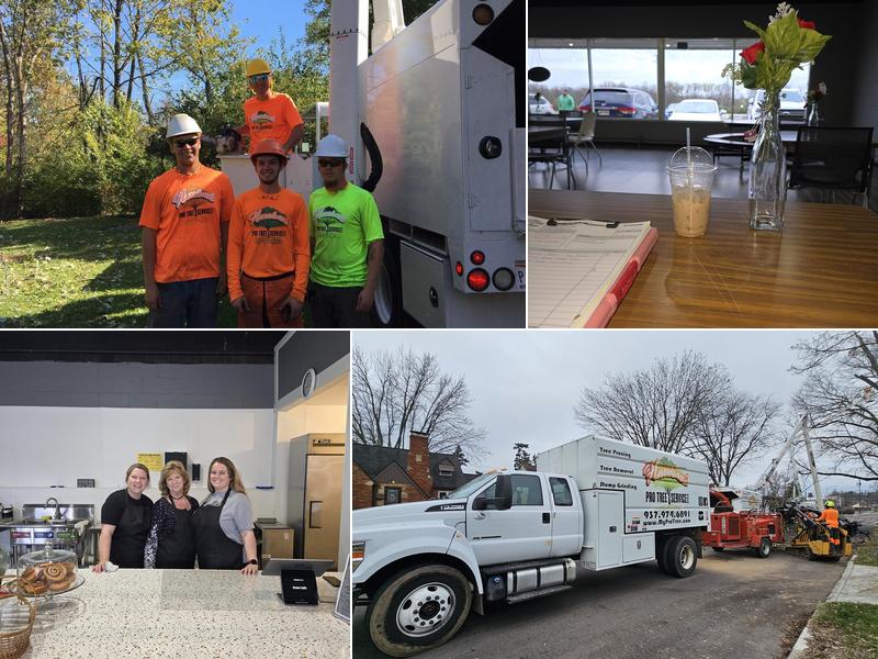 Harrison's Pro Tree Service Inc.