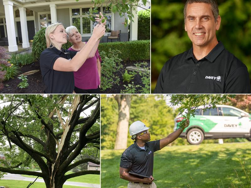 The Davey Tree Expert Company