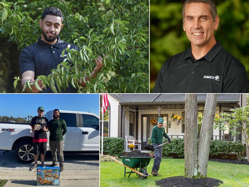 The Davey Tree Expert Company