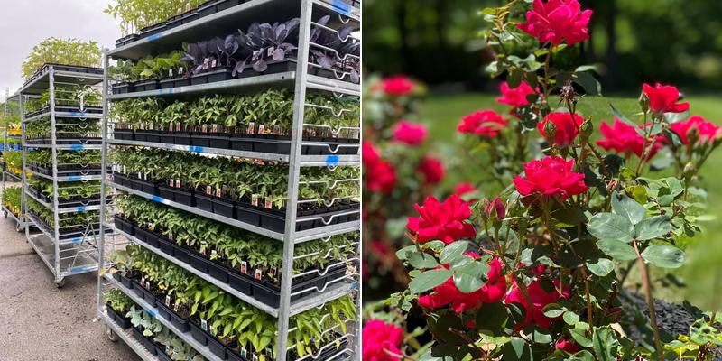 Bockelman's Landscaping and Garden Center