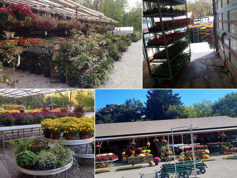 Kelly's Gardens & Landscape Services