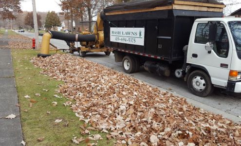 Bash Lawns & Services Arlington