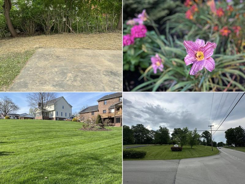 Thomas & Co. Lawncare