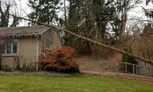 JR'S Lawn & Tree, LLC