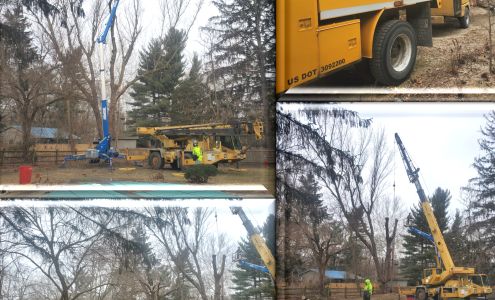 Shoe’s Tree Service LLC