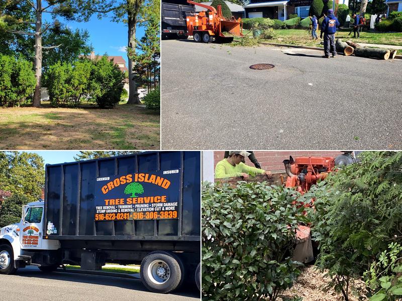 Cross Island Tree Service