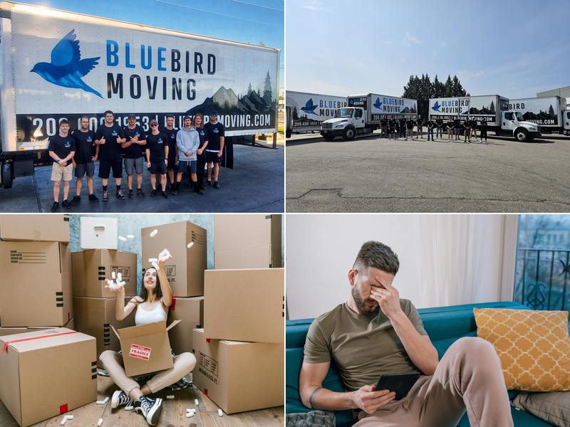 Bluebird Moving