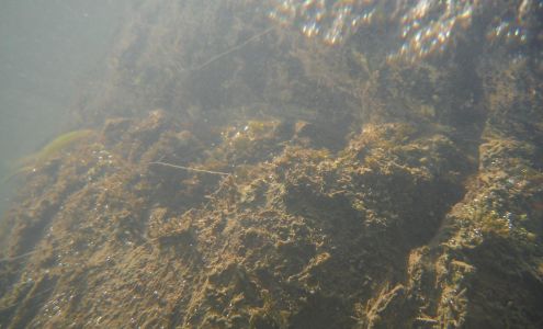 Ace Of Spades Landscaping