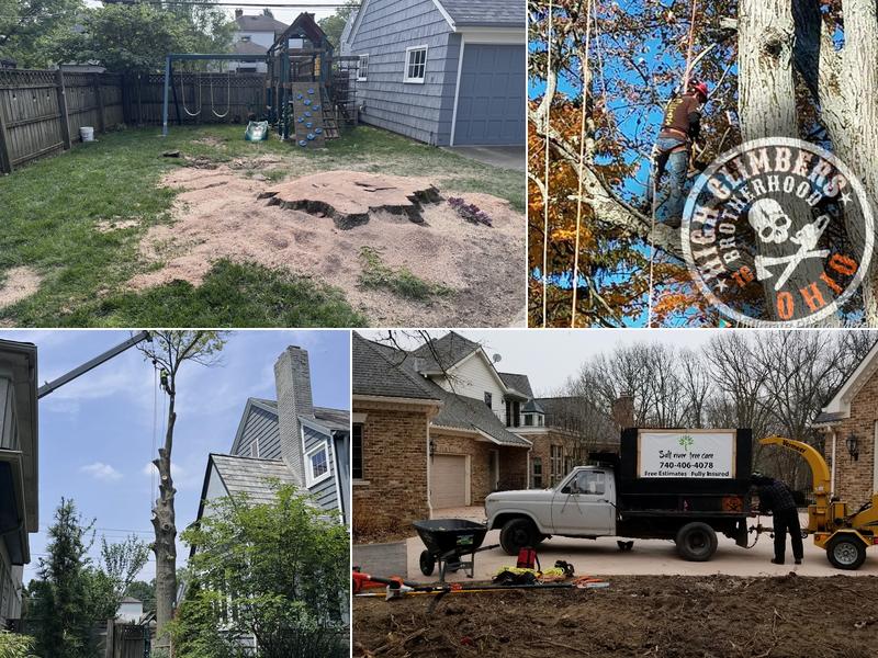 Salt River Tree Care