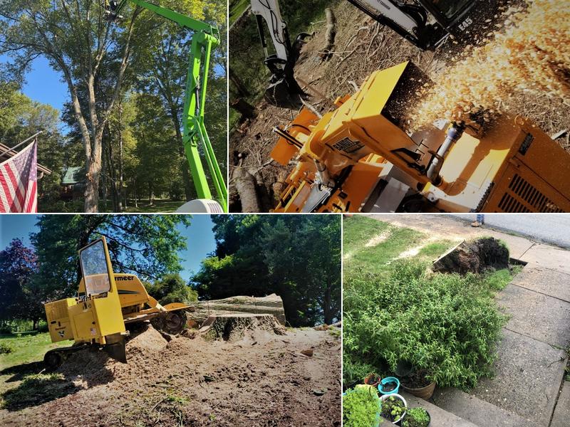 Primetime Tree and Landscape Services, LLC