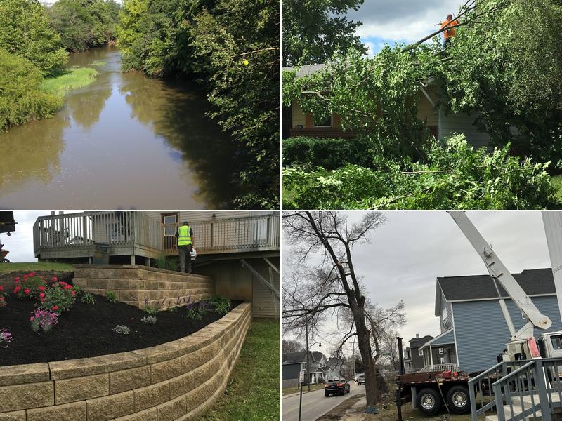 Prairie Creek Tree and Landscape