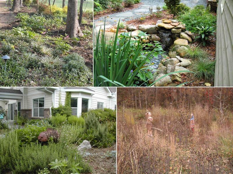 Piedmont Environmental Landscaping and Design
