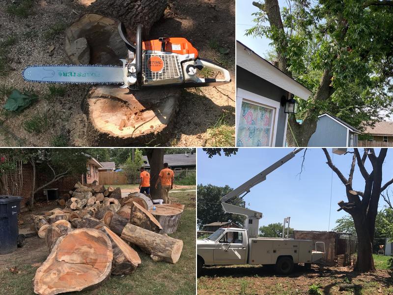 Tree Solutions
