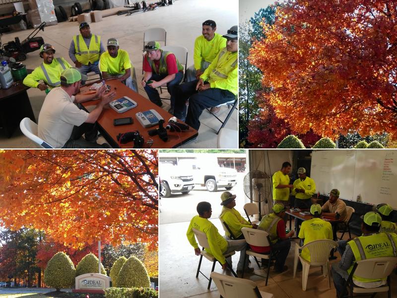 Ideal Landscaping, Inc.