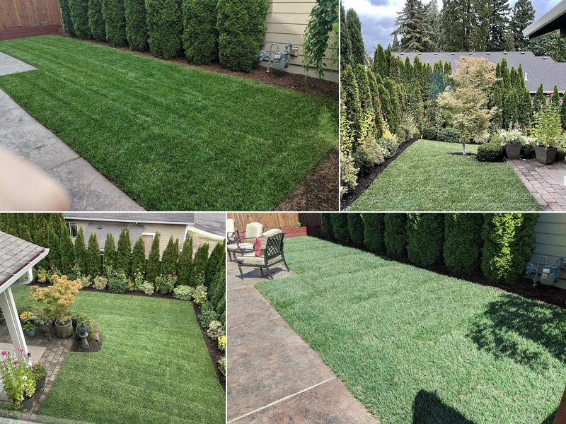 Advanced Landscape services