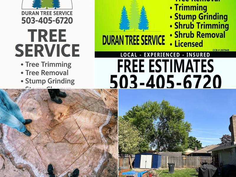 Duran Tree Service LLC