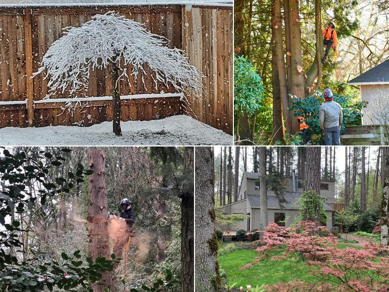 Herford's Tree Care, Inc.