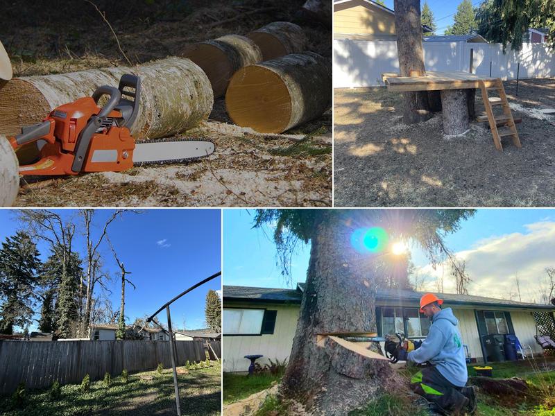 Tim's Eugene Springfield Tree Removal Service