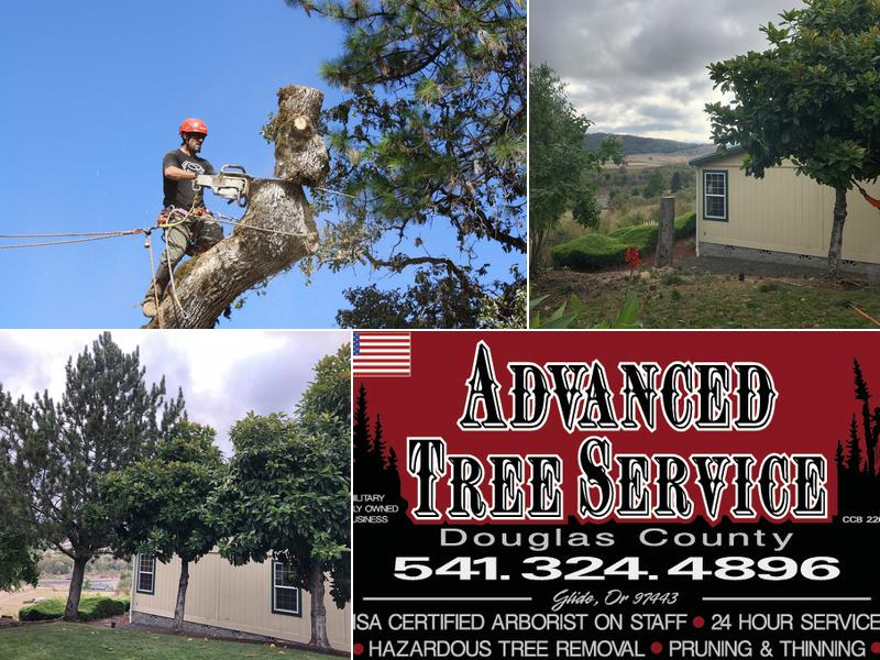 Advanced Tree Service In Roseburg