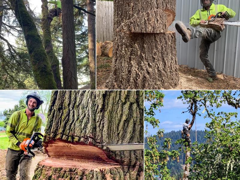 Karhu Tree Service LLC