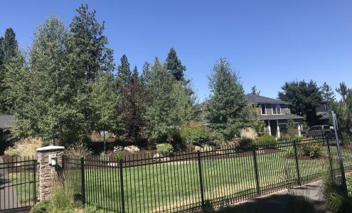 Above All Lawn Service