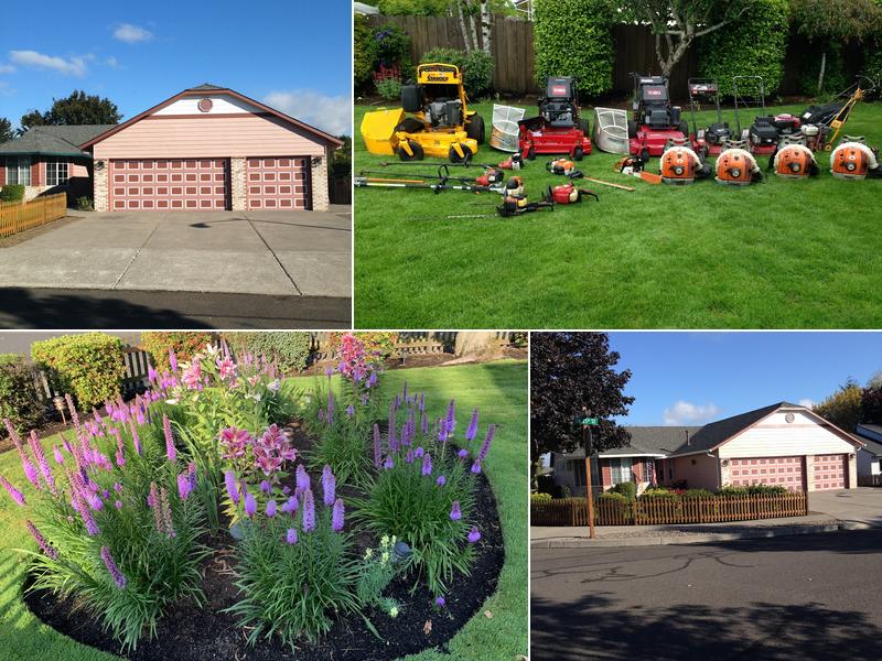 BRIAN WALSH CO. LAWN & LANDSCAPE MAINTENANCE