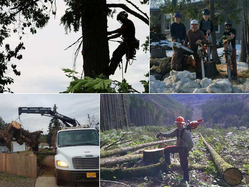 C&D Land and Tree LLC