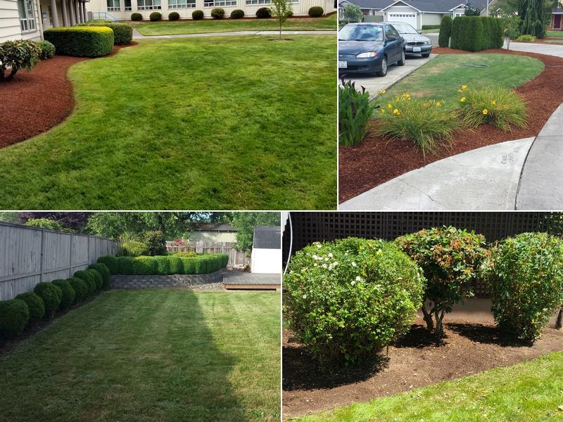 Express Lawn Maintenance