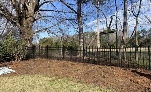 Mr. Martinis Tree Farm