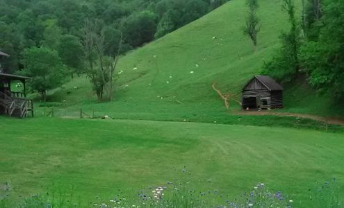 Randy Best Excavating