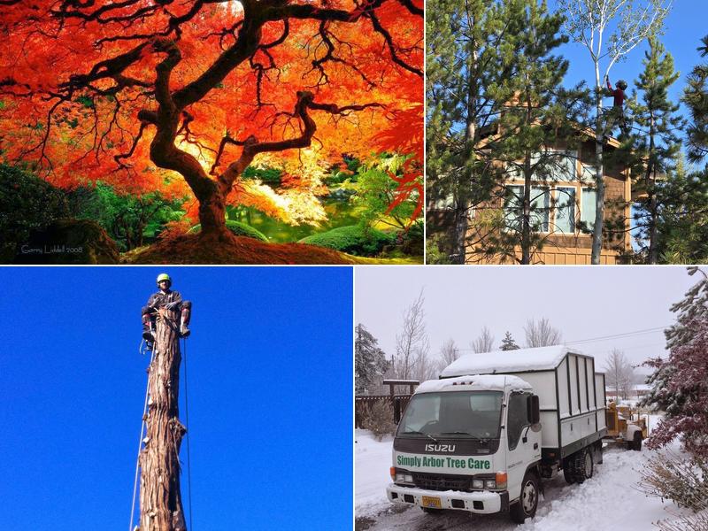 Simply Arbor Tree Care