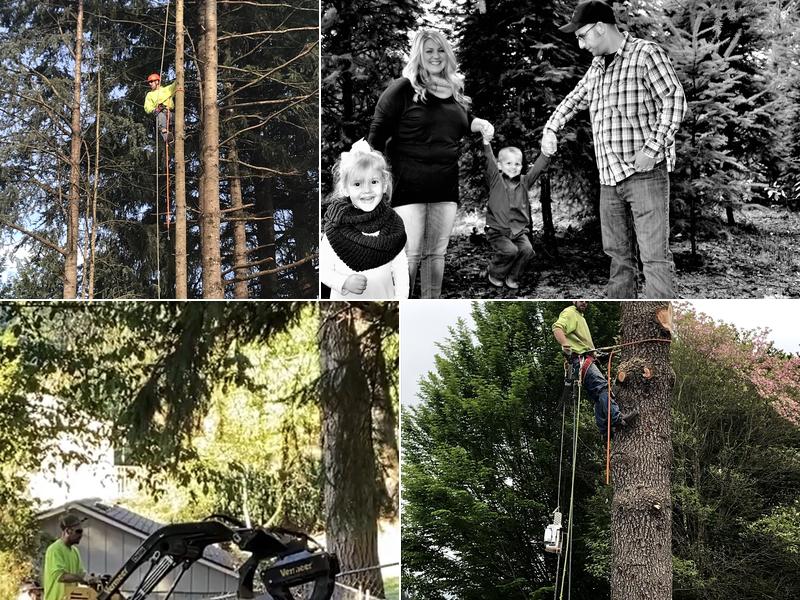 Wever's Tree Service, LLC