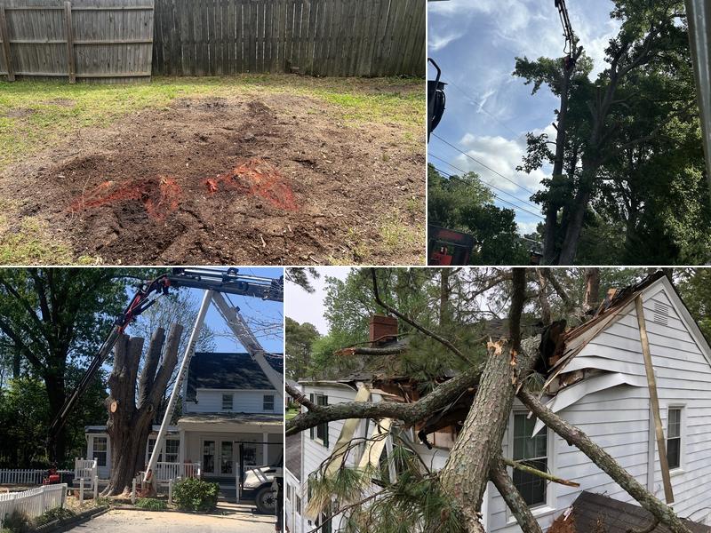 South Eastern VA Tree Service