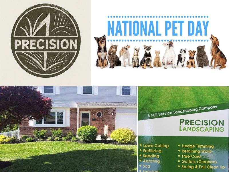 Precision Landscaping