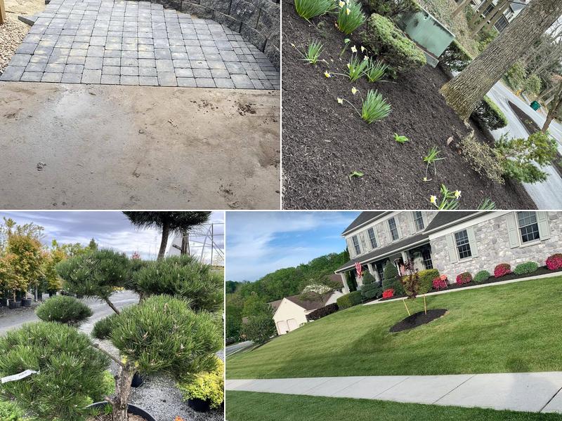 Karaki Landscaping
