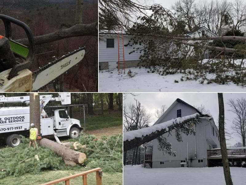 Mr. Outdoor Tree Service, LLC