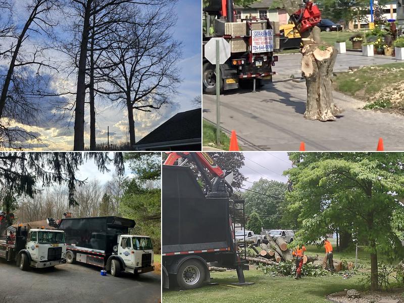 GERASIMEK TREE & STUMP REMOVAL, INC.