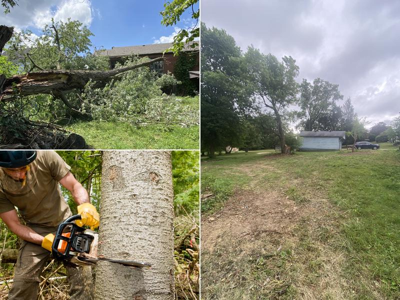 Staley Tree Service LLC