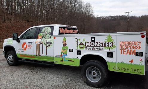 Monster Tree Service of North Pittsburgh Evans City