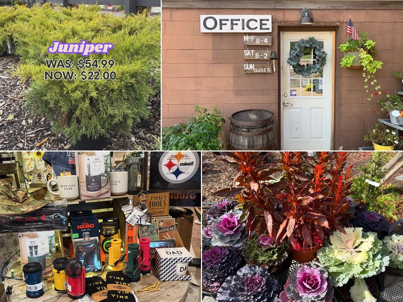 A&N Garden and Greenhouse