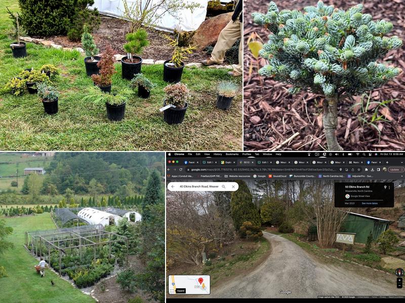 Mountain Meadows Nursery