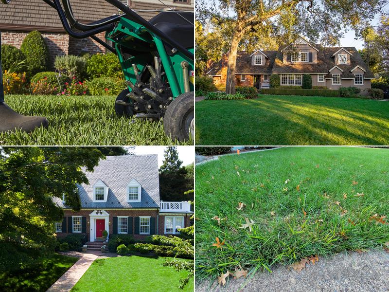 TruGreen Lawn Care