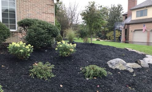 Ariel Romero Landscaping Services